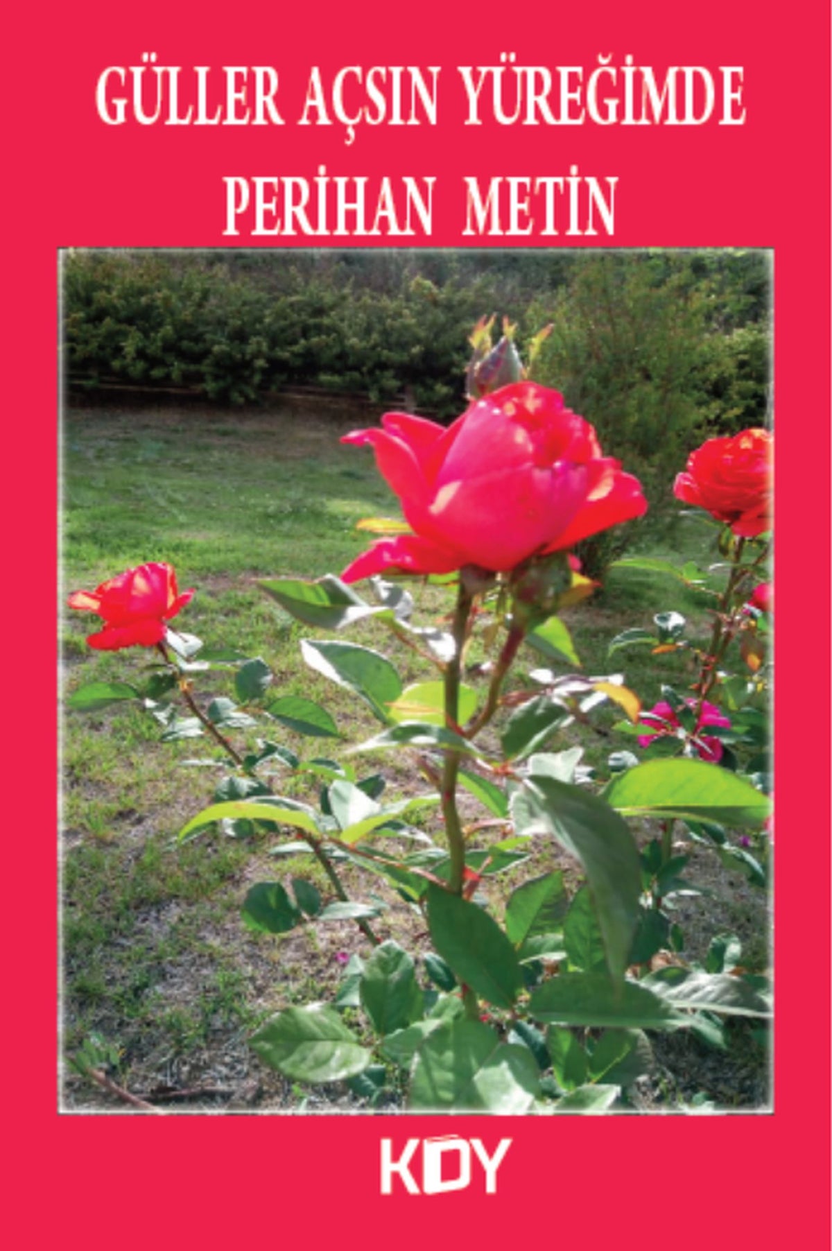 Güller Açsın Yüreğimde - Perihan Metin kitap kapağı