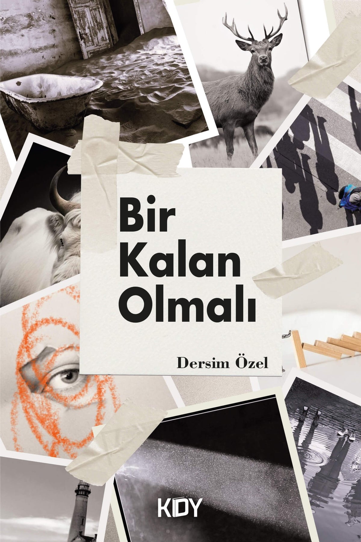 Bir Kalan Olmalı - Dersim Özel kitap kapağı