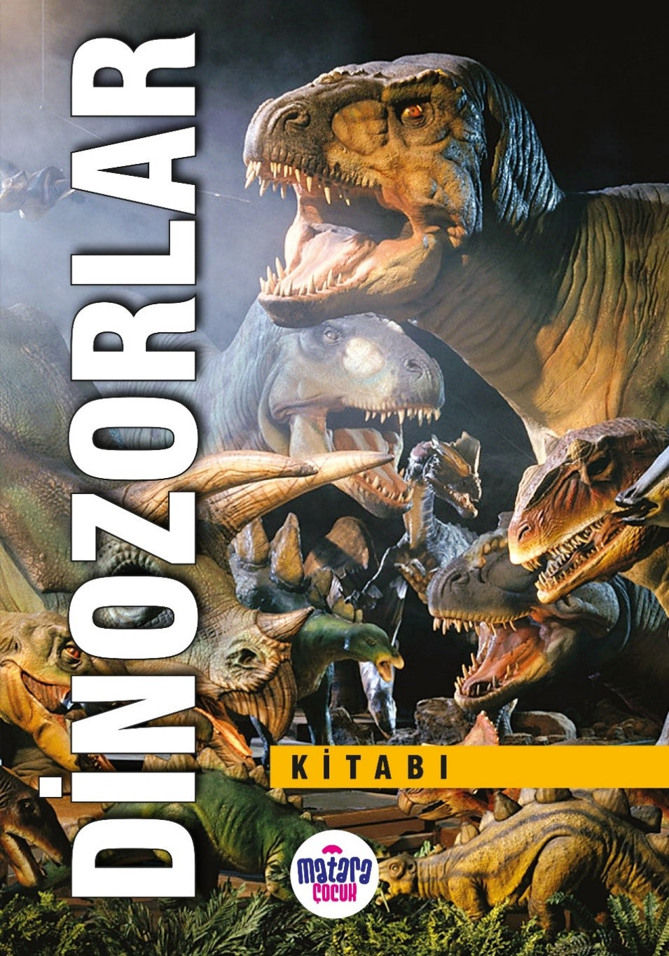 Dinozorlar Kitabı (Bez Çanta Hediyeli) - Kolektif kitap kapağı