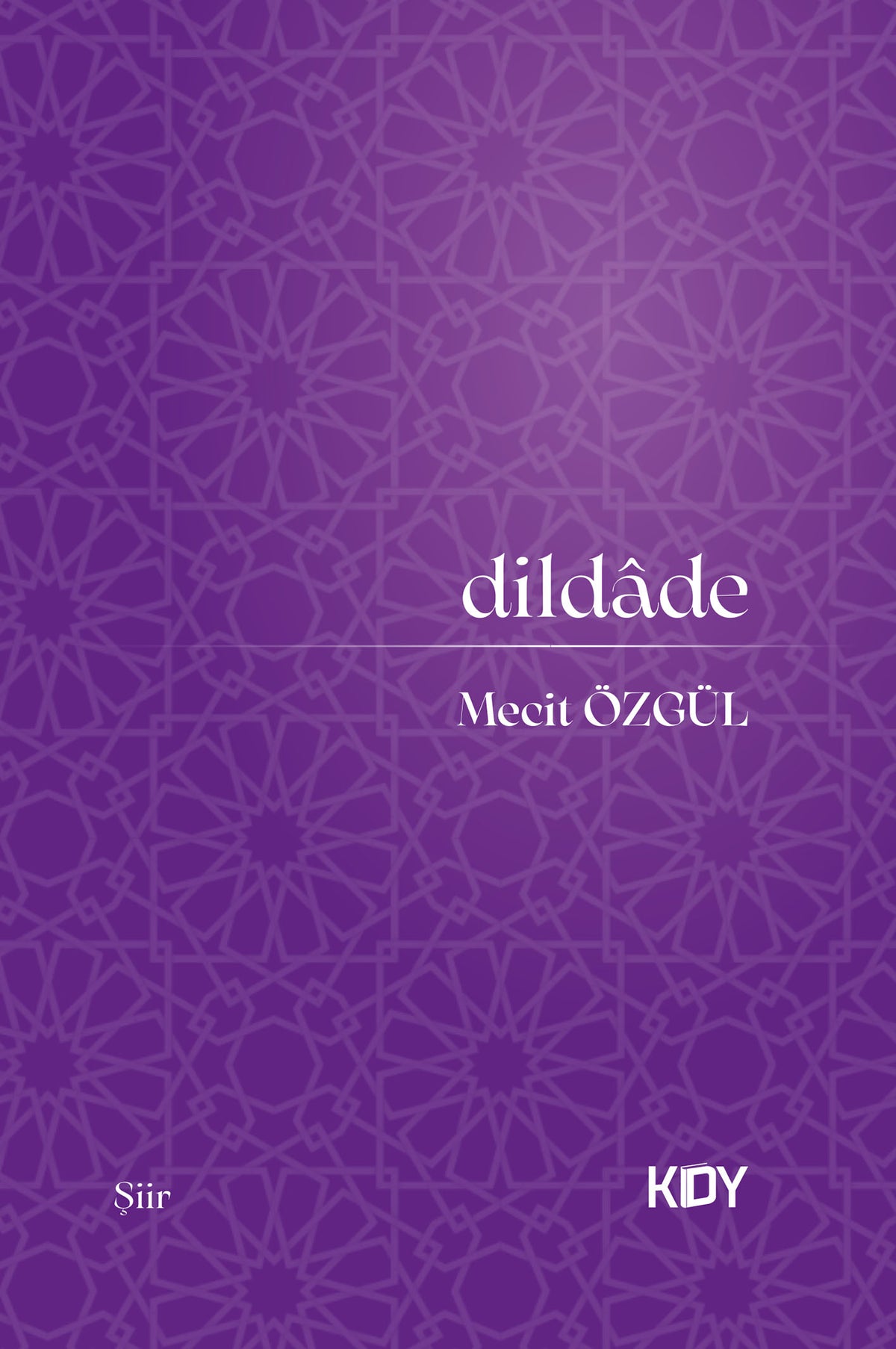 Dildade - Mecit Özgül kitap kapağı