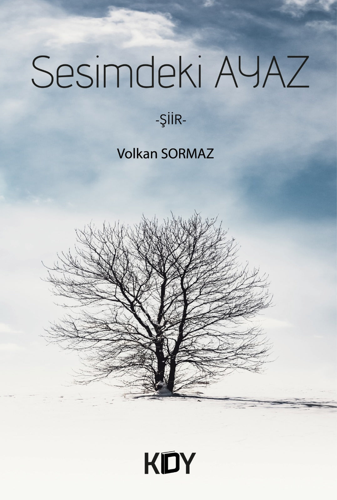 Sesimdeki Ayaz - Volkan Sormaz kitap kapağı