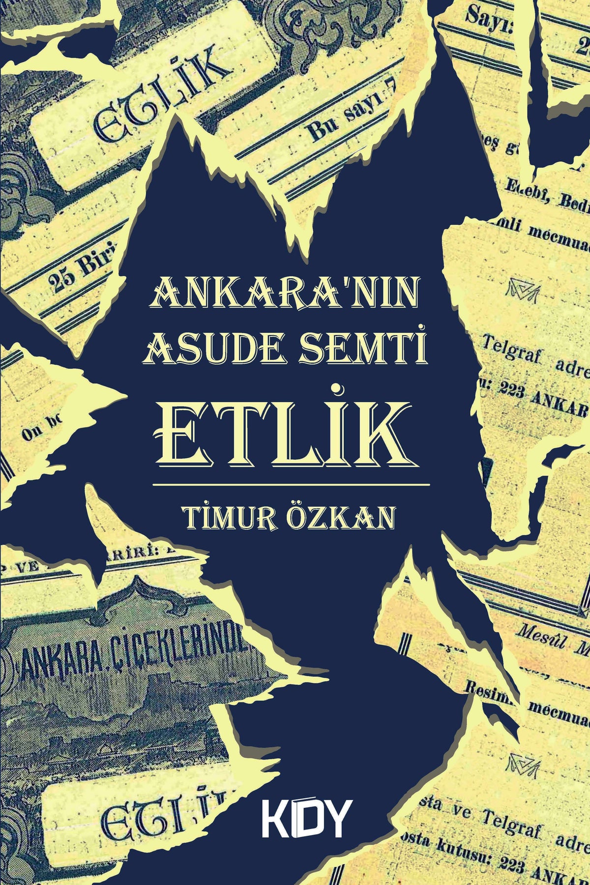 Ankara'nın Asude Semti Etlik - Timur Özkan kitap kapağı