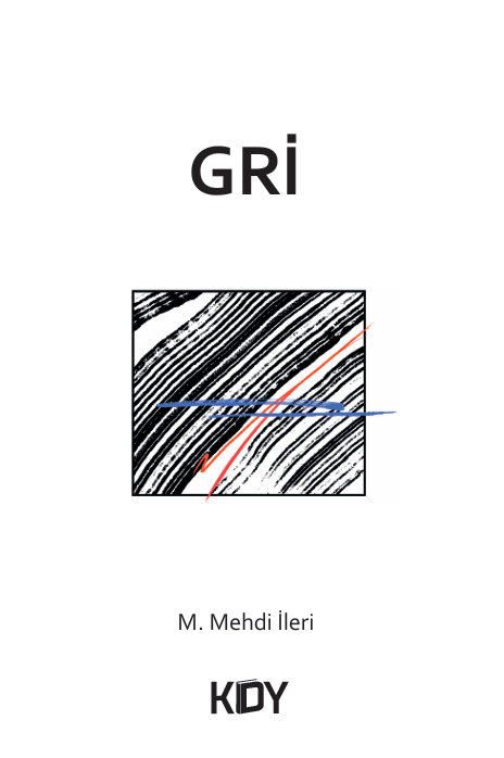 Gri - M. Mehdi İleri kitap kapağı