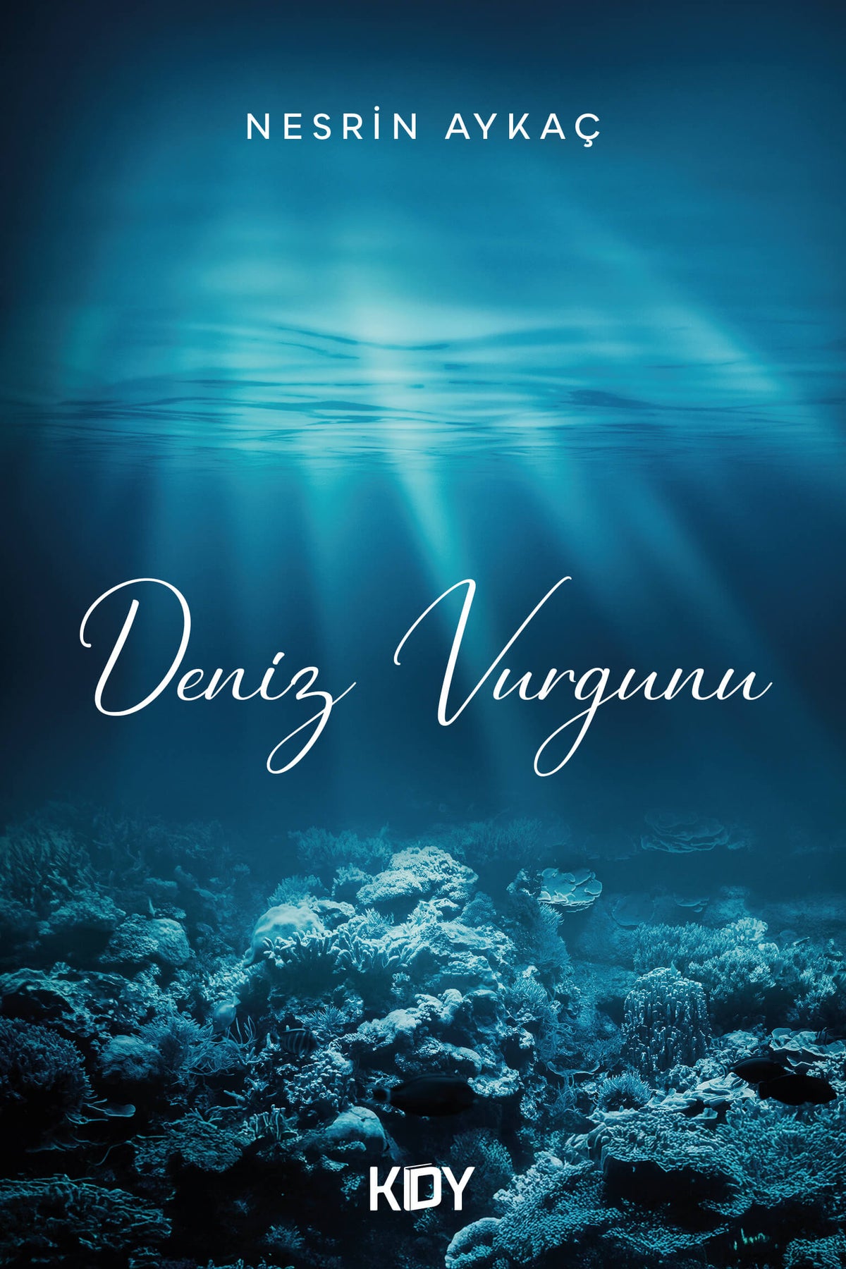 Deniz Vurgunu - Nesrin Aykaç kitap kapağı