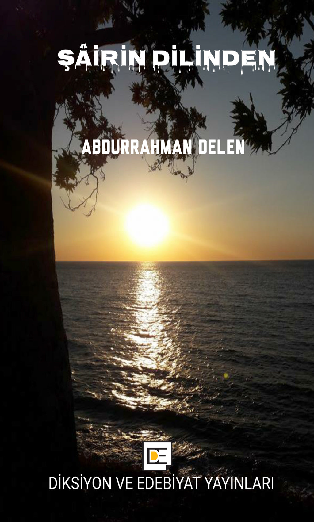 Şairin Dilinden - Abdurrahman Delen kitap kapağı