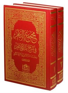 Mecme'ül Enhur Mülteka'l-Ebhur'un Şerhi (Damad Arapça-Rahle Boy 2 Cilt) - Abdurrahman Gelibolulu kitap kapağı