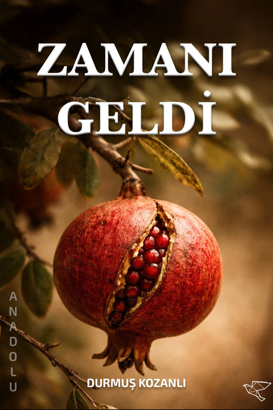 Zamanı Geldi - Durmuş Kozanlı kitap kapağı
