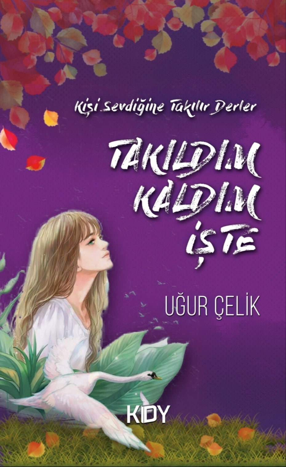 Takıldım, Kaldım İşte - Uğur Çelik kitap kapağı