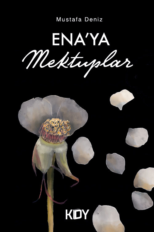 Ena'ya Mektuplar - Mustafa Deniz kitap kapağı