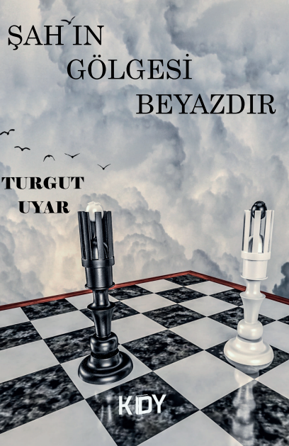 Şahın Gölgesi Beyazdır - Turgut Uyar kitap kapağı