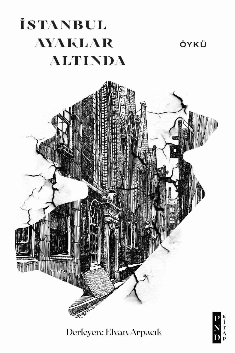 İstanbul Ayaklar Altında - Elvan Arpacık kitap kapağı