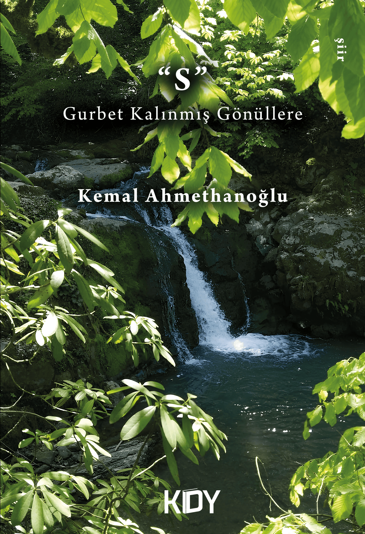 S - Kemal Ahmethanoğlu kitap kapağı