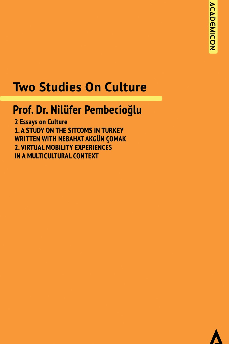 Two Studies on Culture - Nilüfer Pembecioğlu kitap kapağı