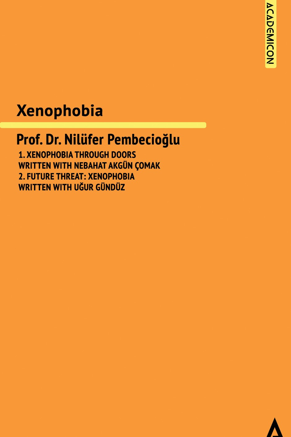Xenophobia - Nilüfer Pembecioğlu kitap kapağı
