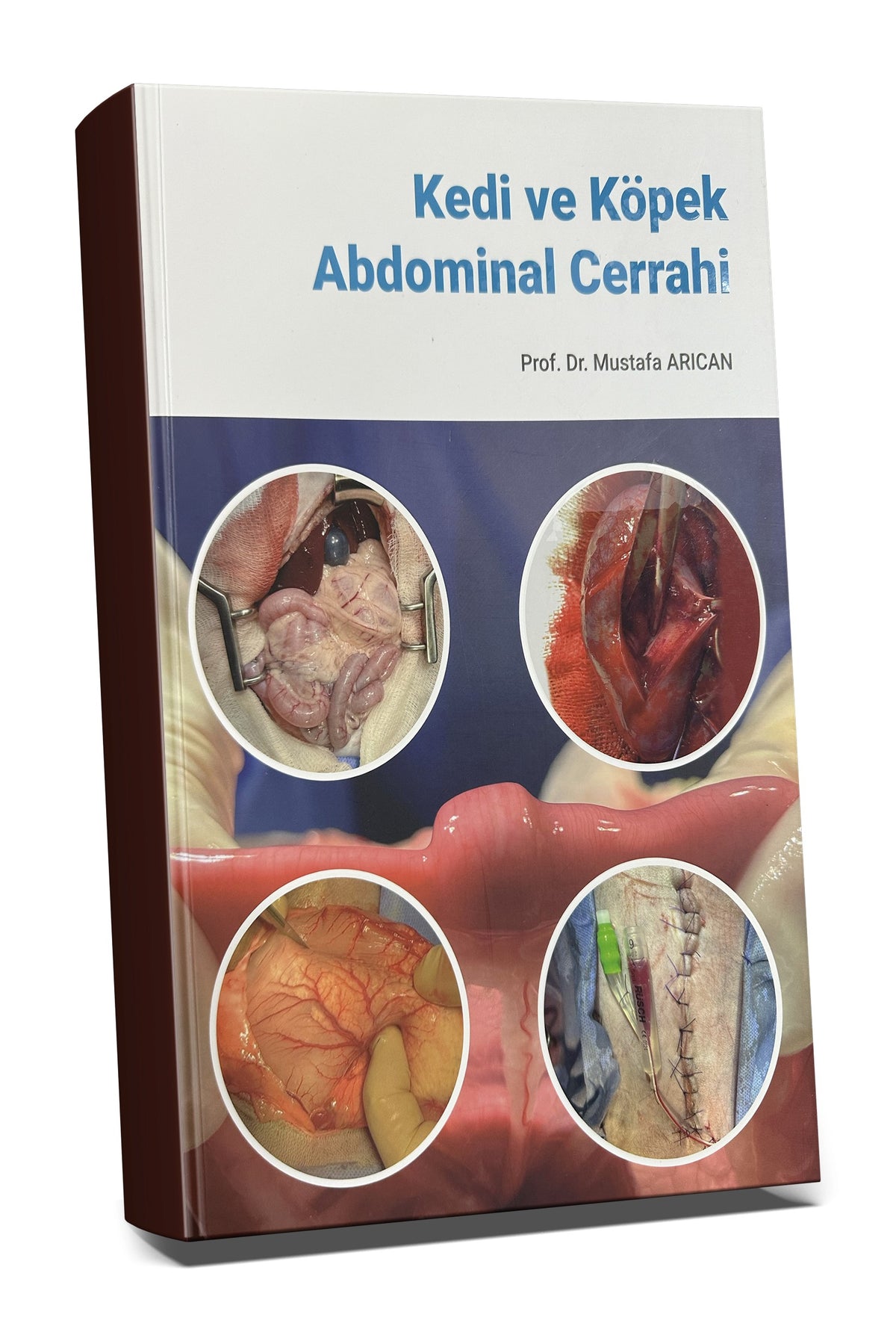 Kedi ve Köpek Abdominal Cerrahi - Mustafa Arıcan kitap kapağı