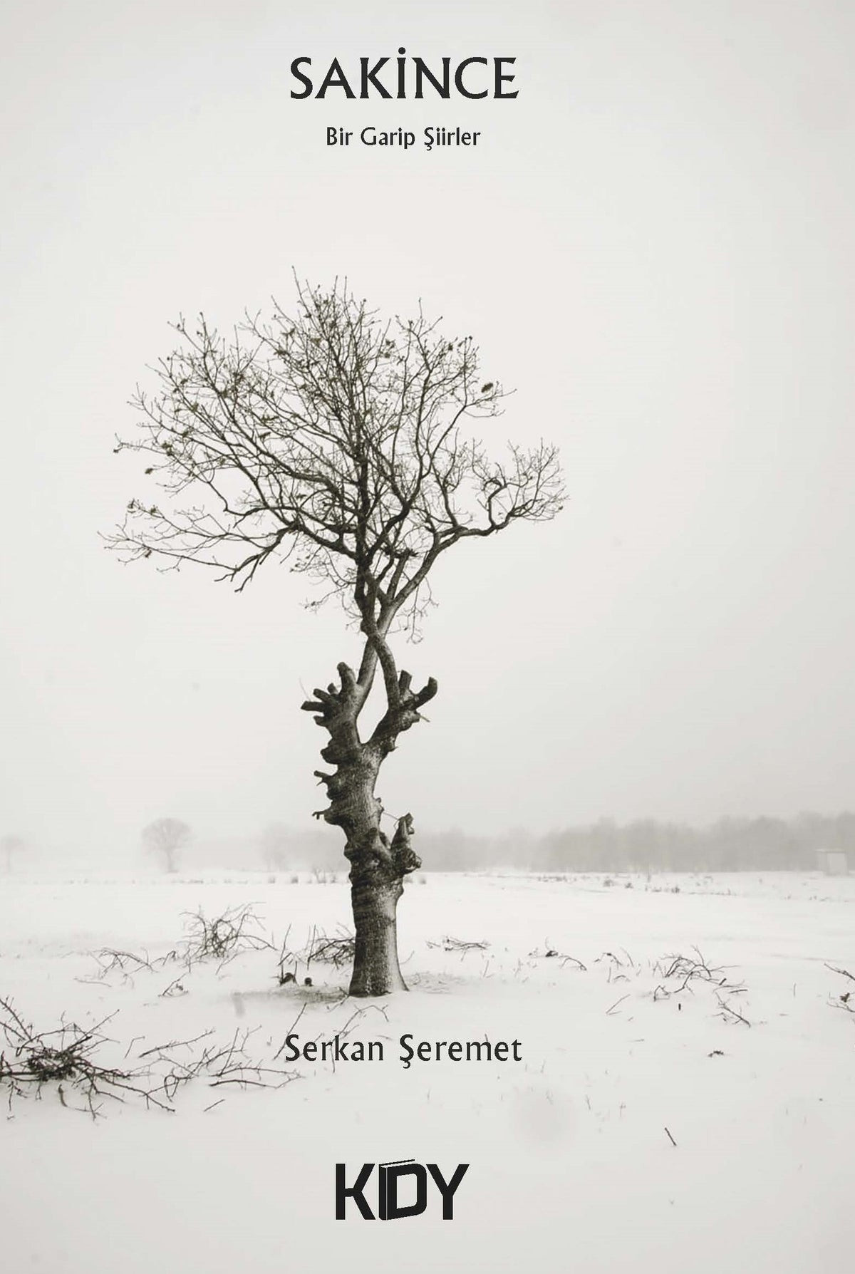 Sakince - Serkan Şeremet kitap kapağı