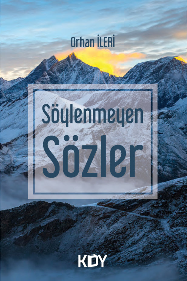 Söylenmeyen Sözler - Orhan İleri kitap kapağı