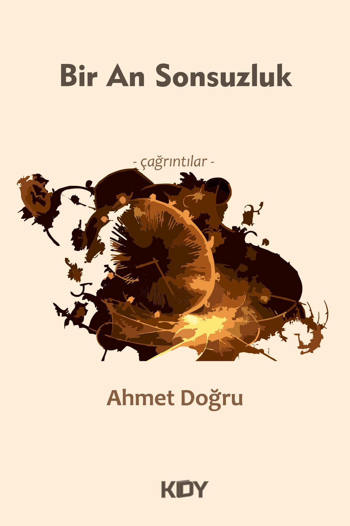 Bir An Sonsuzluk - Ahmet Doğru kitap kapağı