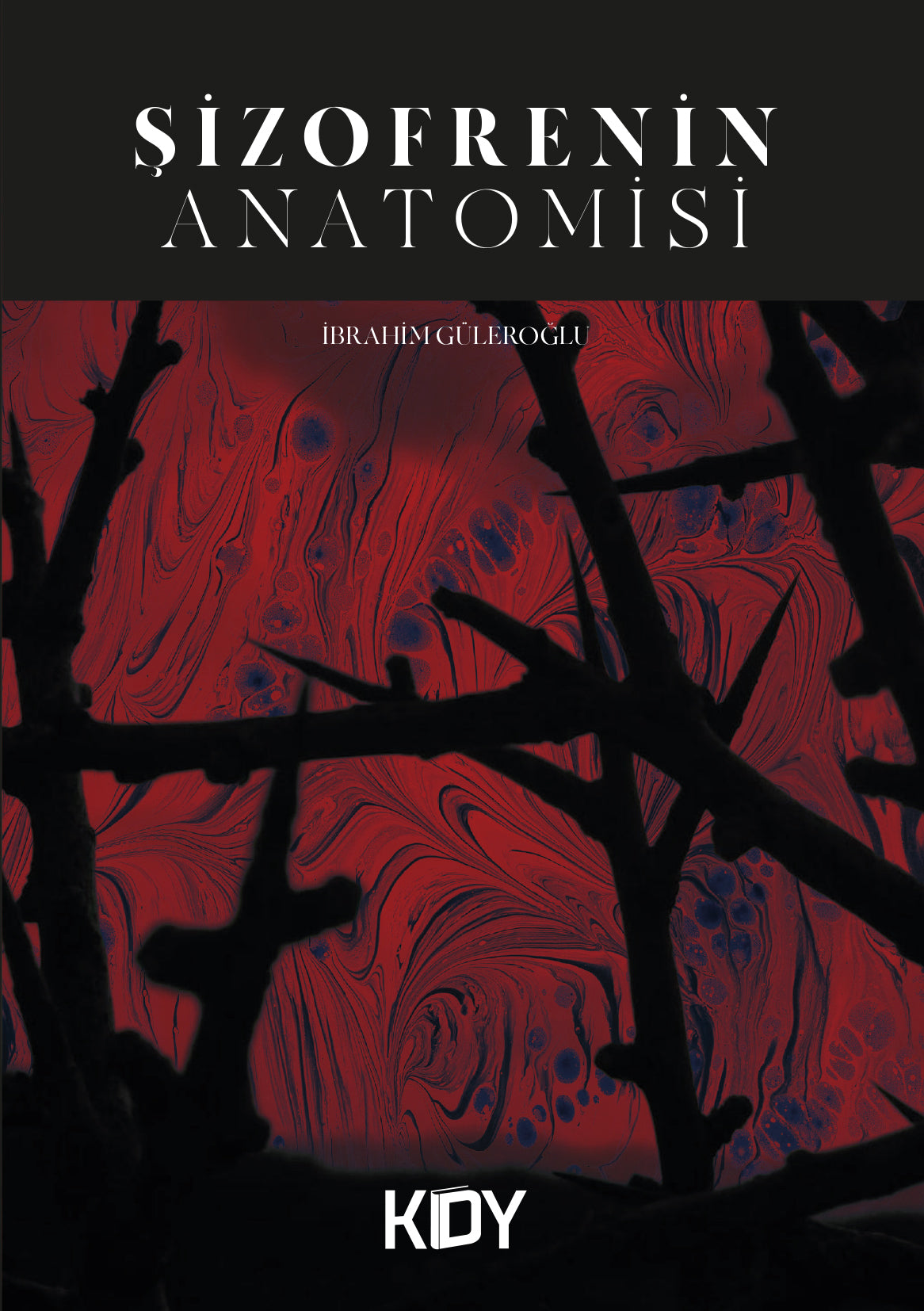 Şizofrenin Anatomisi - İbrahim Güleroğlu kitap kapağı