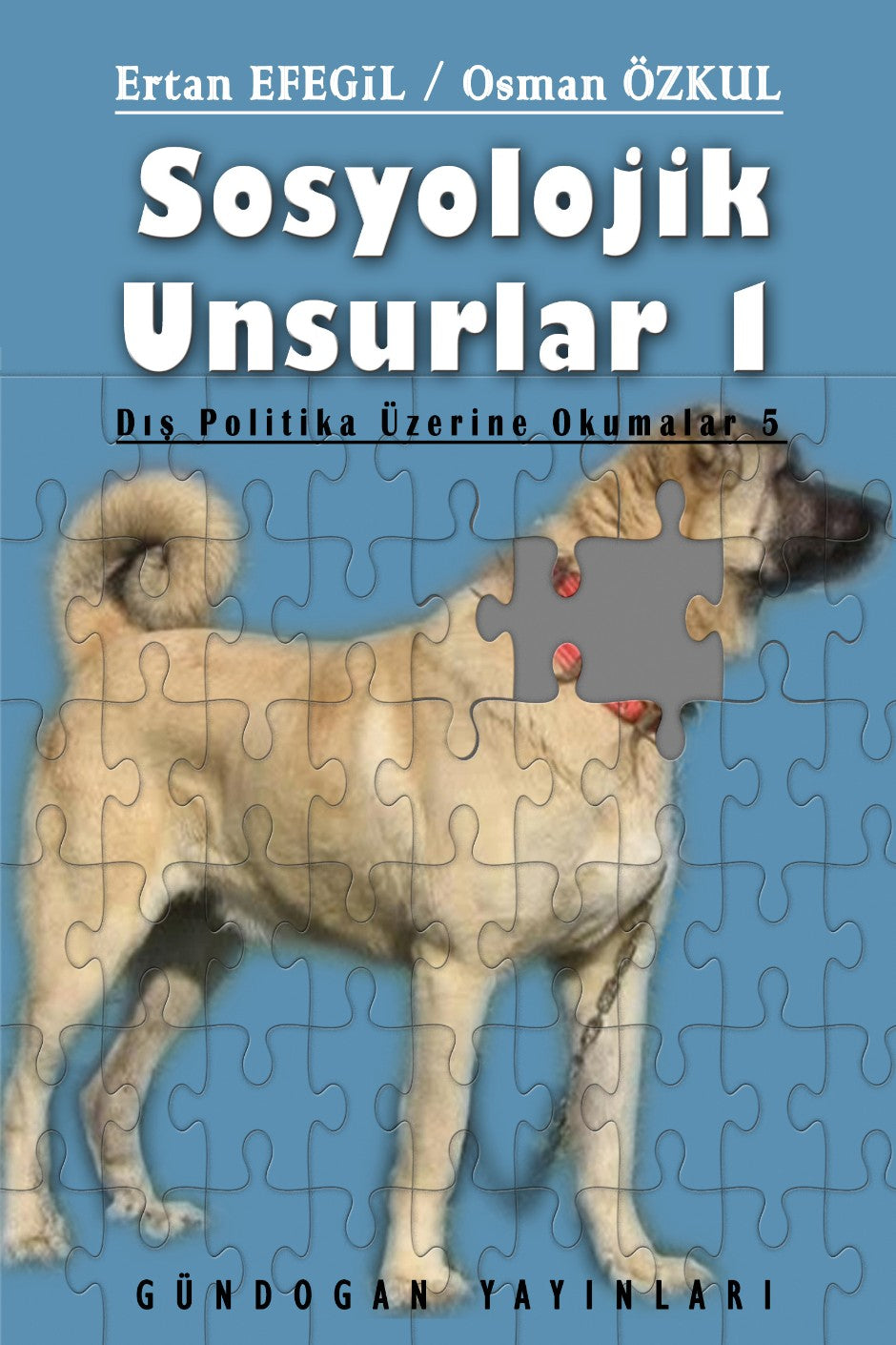Sosyolojik Unsurlar 1 / Dış Politika Üzerine Okumalar 5 - Prof. Dr. Ertan Efegil kitap kapağı