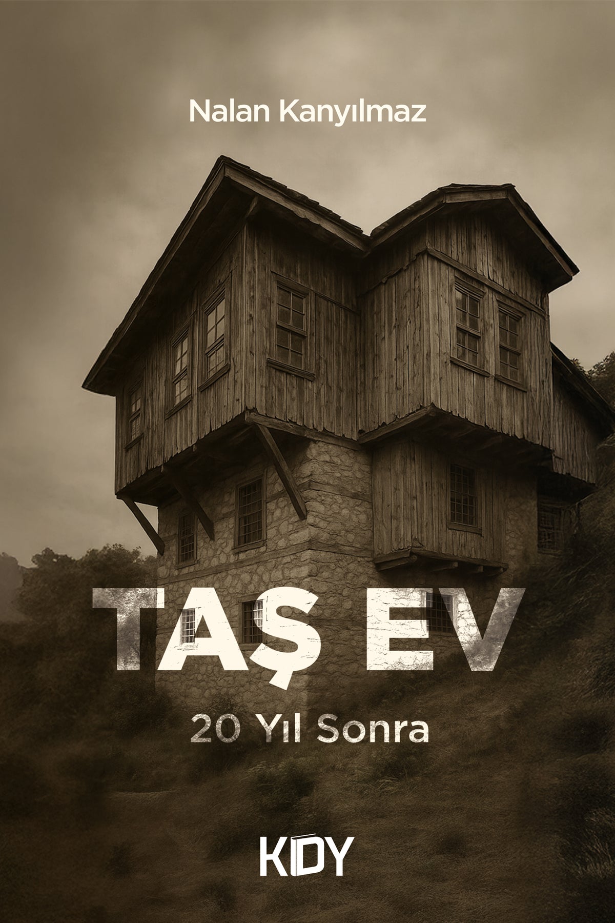 Taş Ev - Nalan Kanyılmaz kitap kapağı