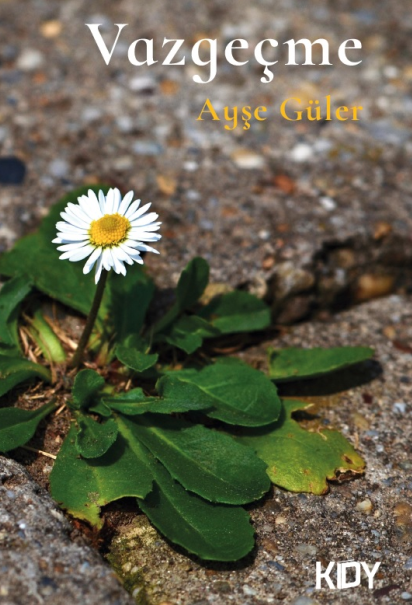 Vazgeçme - Ayşe Güler kitap kapağı