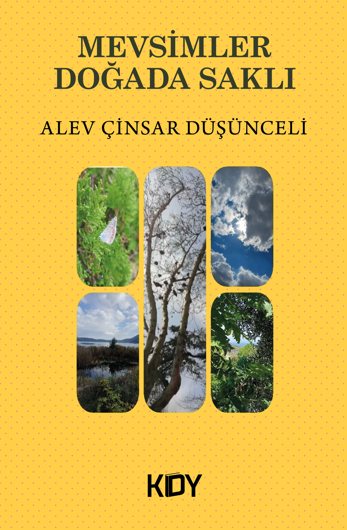 Mevsimler Doğada Saklı - Alev Çinsar Düşünceli kitap kapağı