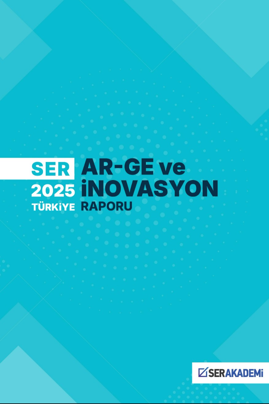 SER 2025 Türkiye Ar-Ge ve İnovasyon Raporu - Ömer Özdinç kitap kapağı