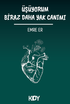 Üşüyorum Biraz Daha Yak Canımı - Emre Er kitap kapağı