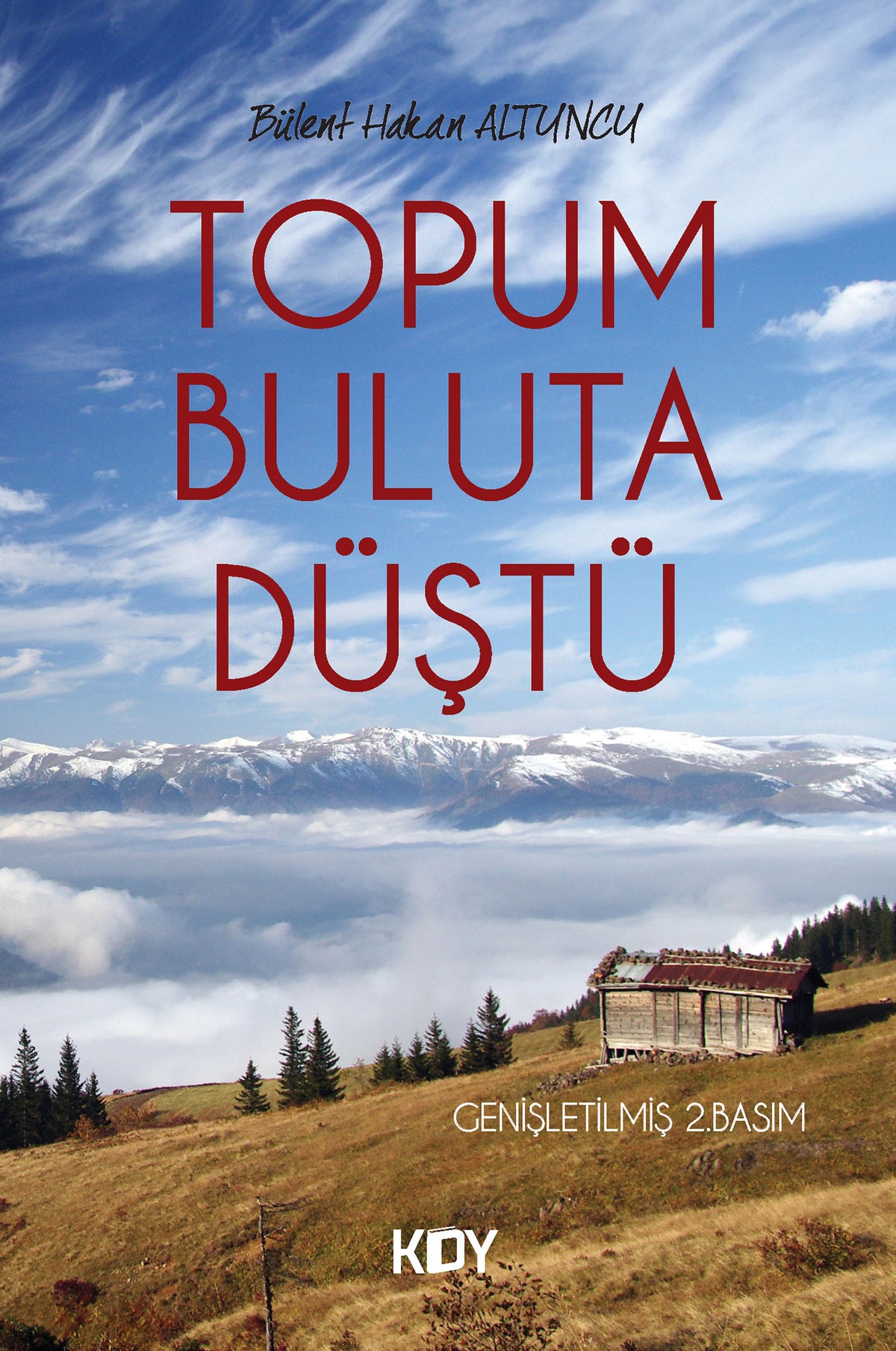 Topum Buluta Düştü - Bülent Hakan Altuncu kitap kapağı