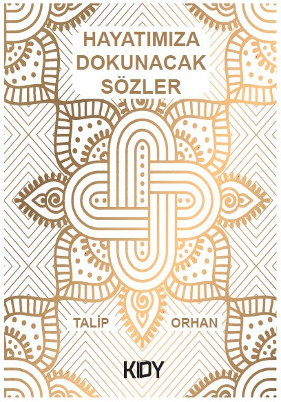 Hayatımıza Dokunacak Sözler - Talip Orhan kitap kapağı