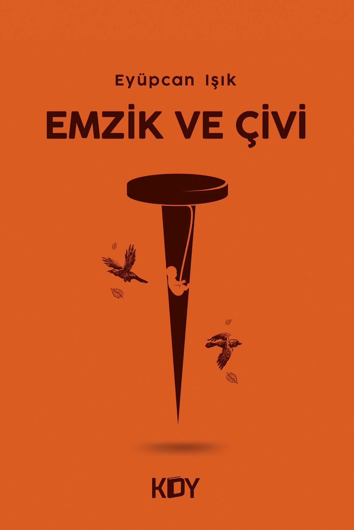 Emzik ve Çivi - Eyüpcan Işık kitap kapağı
