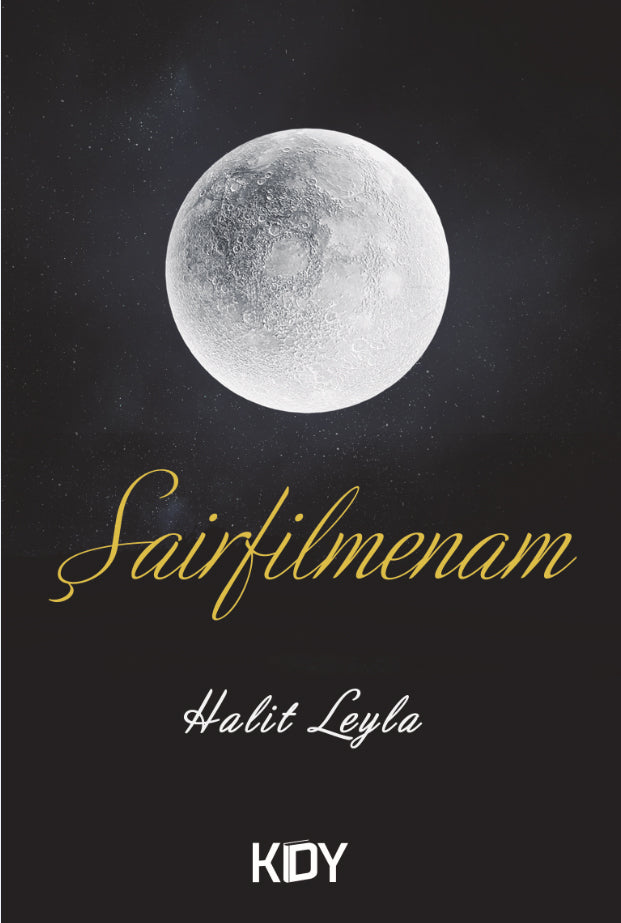 Şairfilmenam - Halit Leyla kitap kapağı