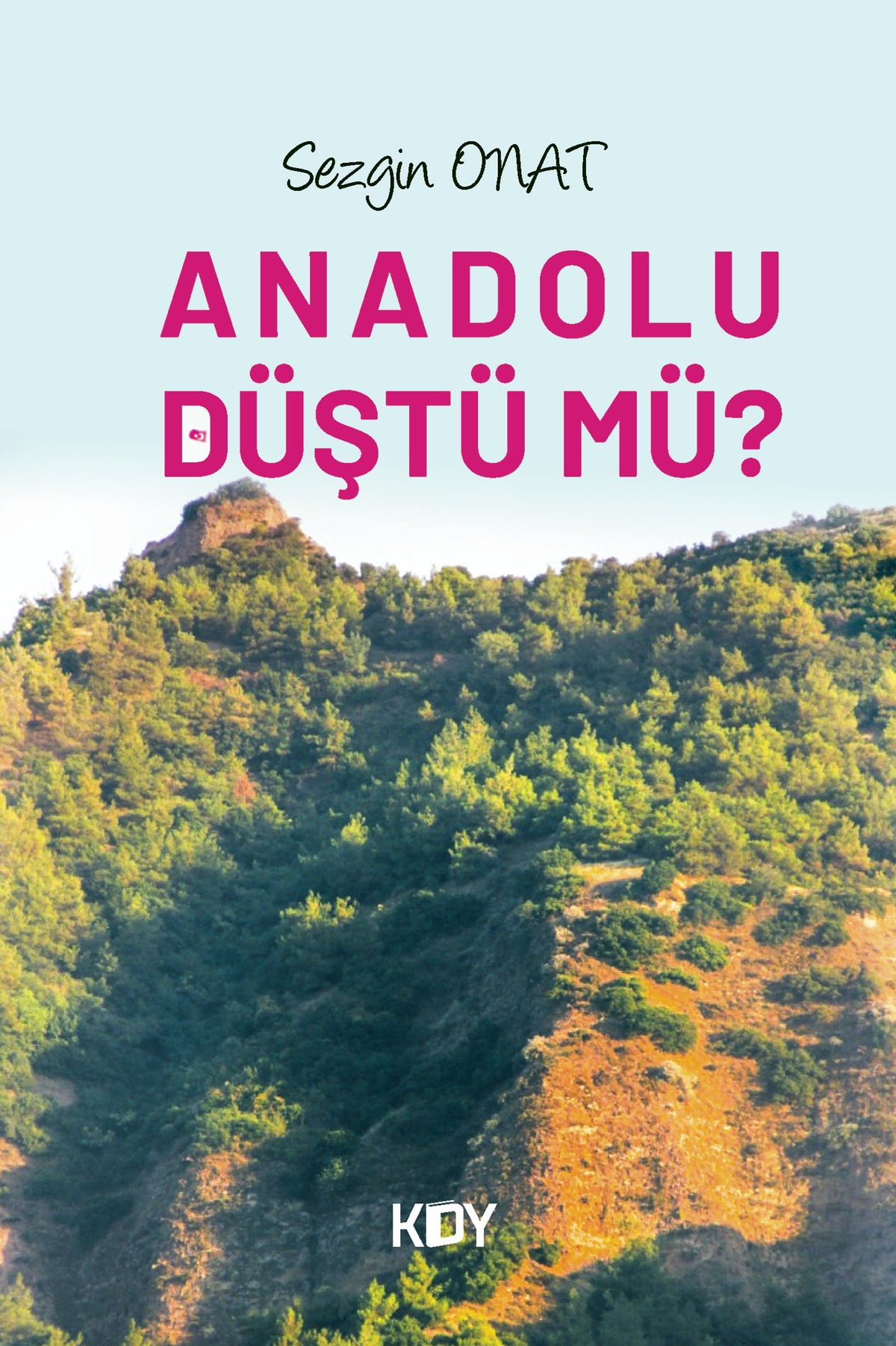 Anadolu Düştü mü? - Sezgin Onat kitap kapağı