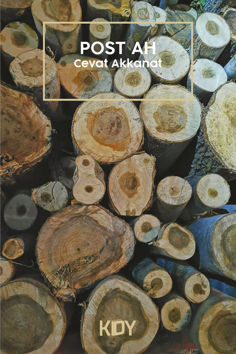 Post Ah - Cevat Akkanat kitap kapağı