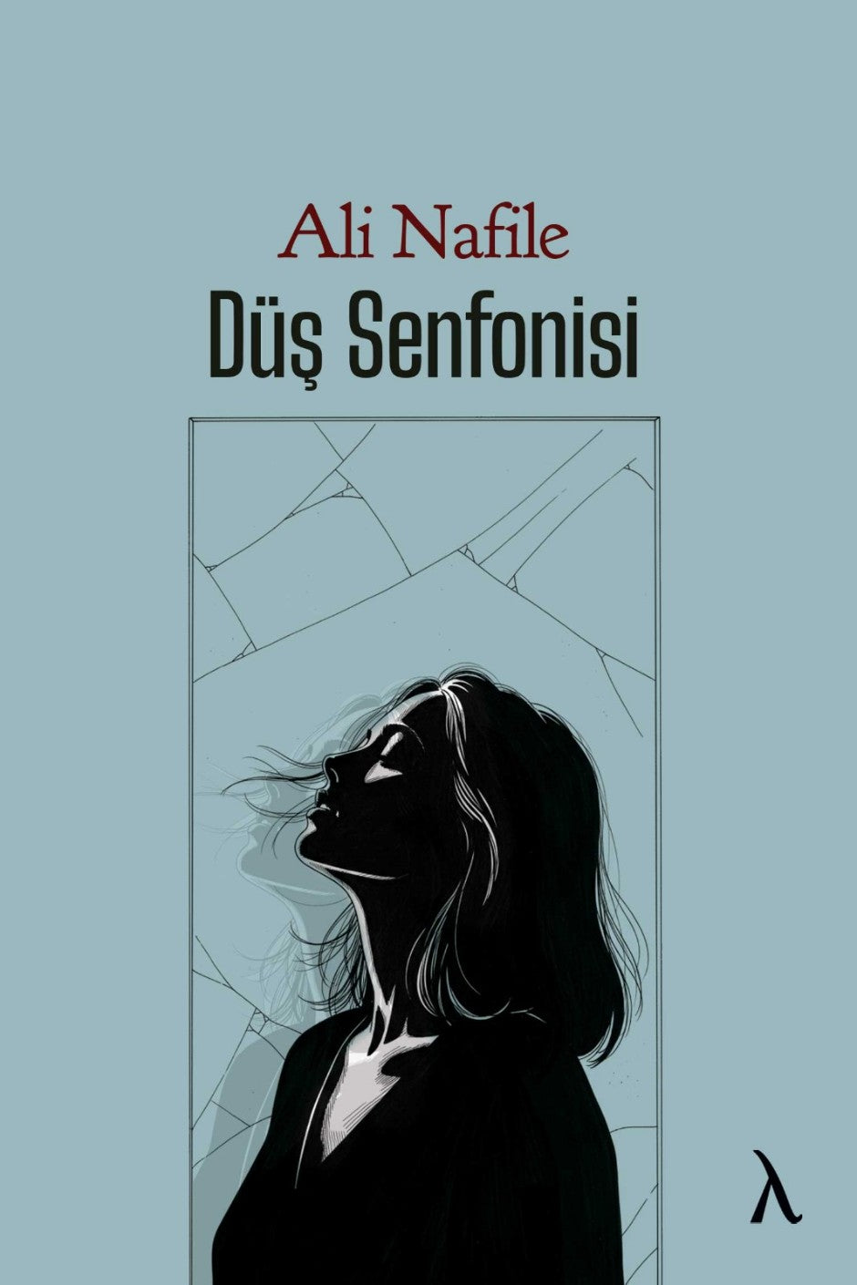 Düş Senfonisi - Ali Nafile kitap kapağı