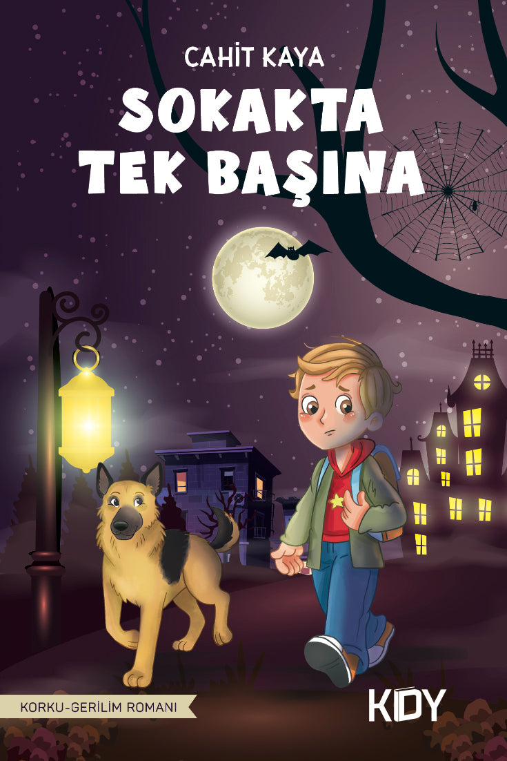 Sokakta Tek Başına - Cahit Kaya kitap kapağı