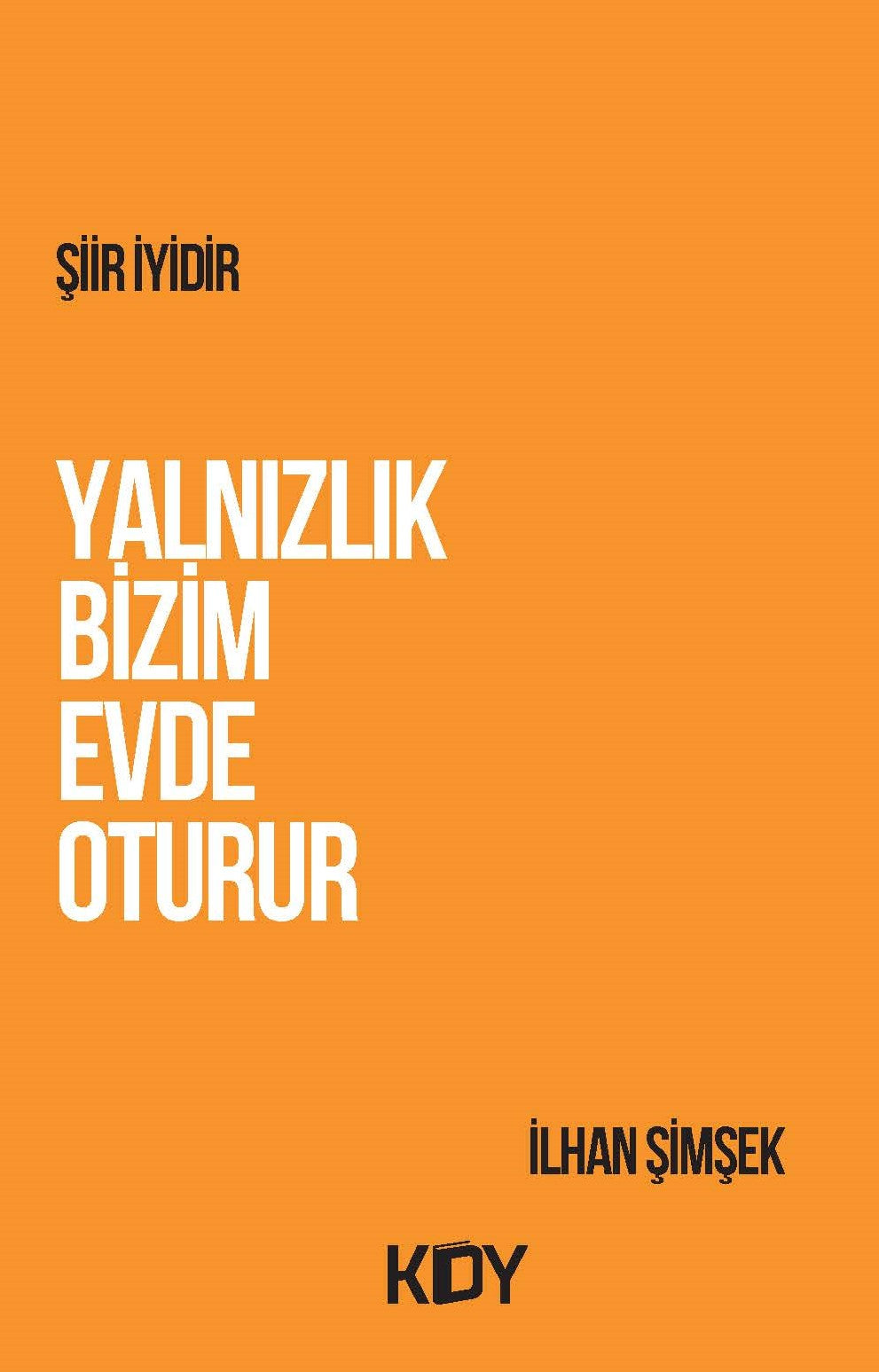 Yalnızlık Bizim Evde Oturur - İlhan Şimşek kitap kapağı