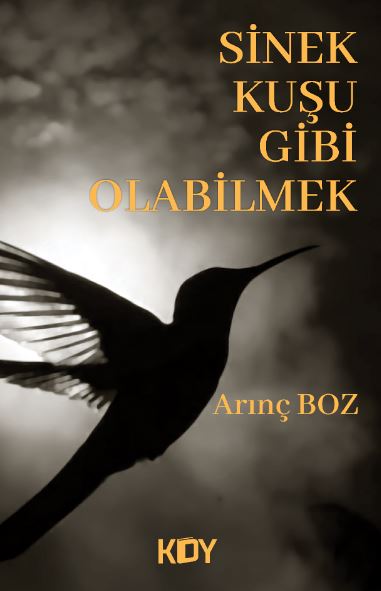Sinek Kuşu Gibi Olabilmek - Arınç Boz kitap kapağı