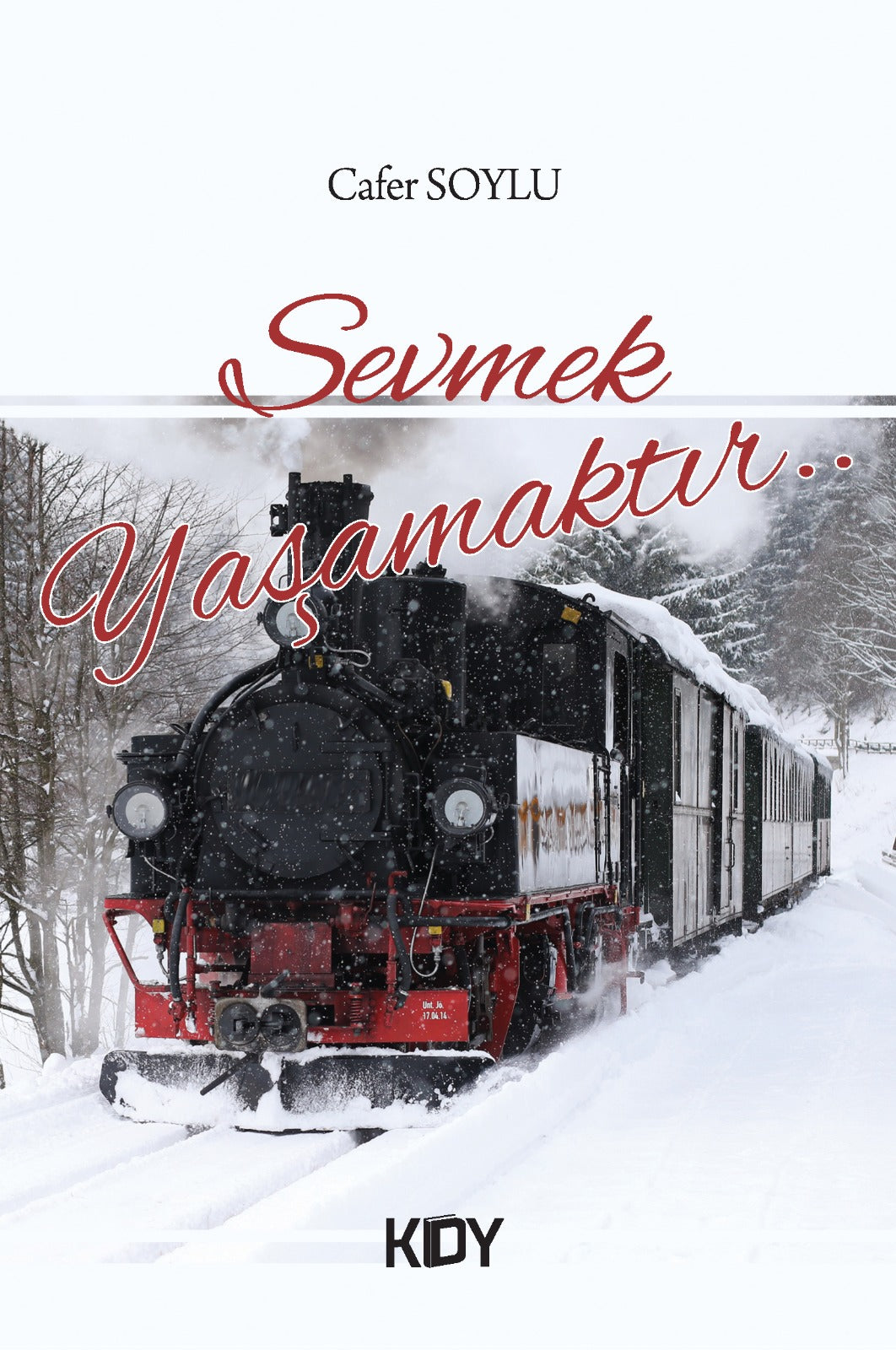 Sevmek Yaşamaktır - Cafer Soylu kitap kapağı