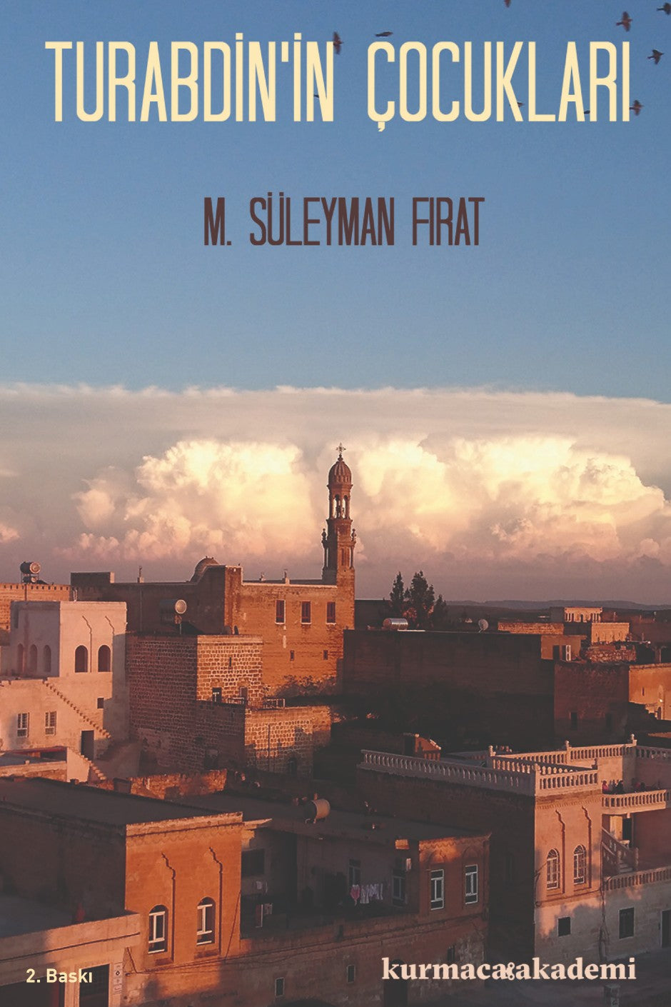Turabdin'in Çocukları - M. Süleyman Fırat kitap kapağı