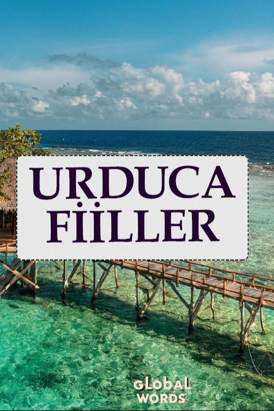 Urduca Fiiller - Kolektif kitap kapağı