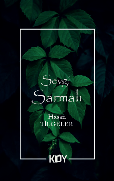 Sevgi Sarmalı - Hasan Tilgeler kitap kapağı
