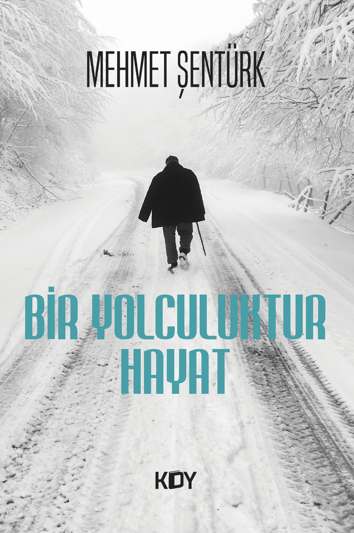 Bir Yolculuktur Hayat - Mehmet Şentürk kitap kapağı