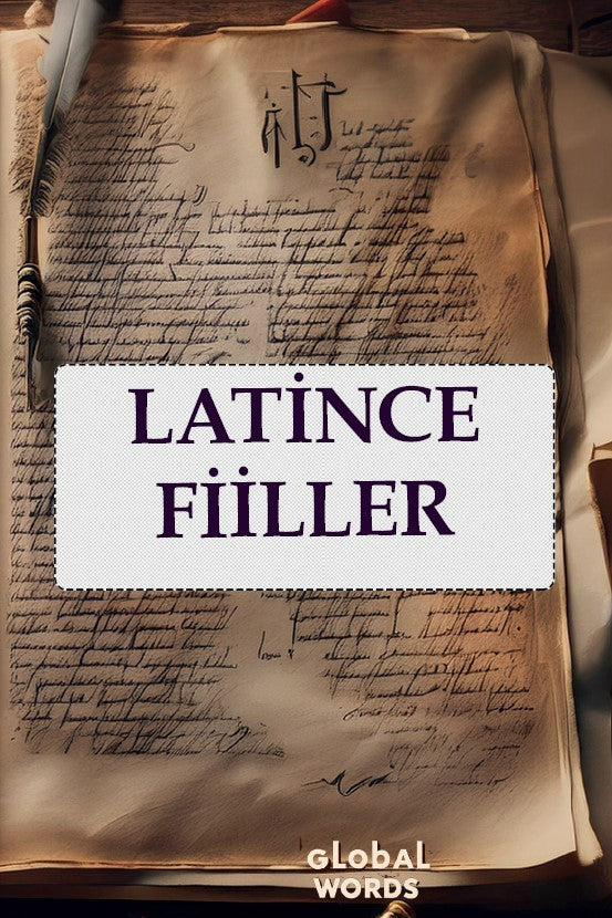 Latince Fiiller - Kolektif kitap kapağı