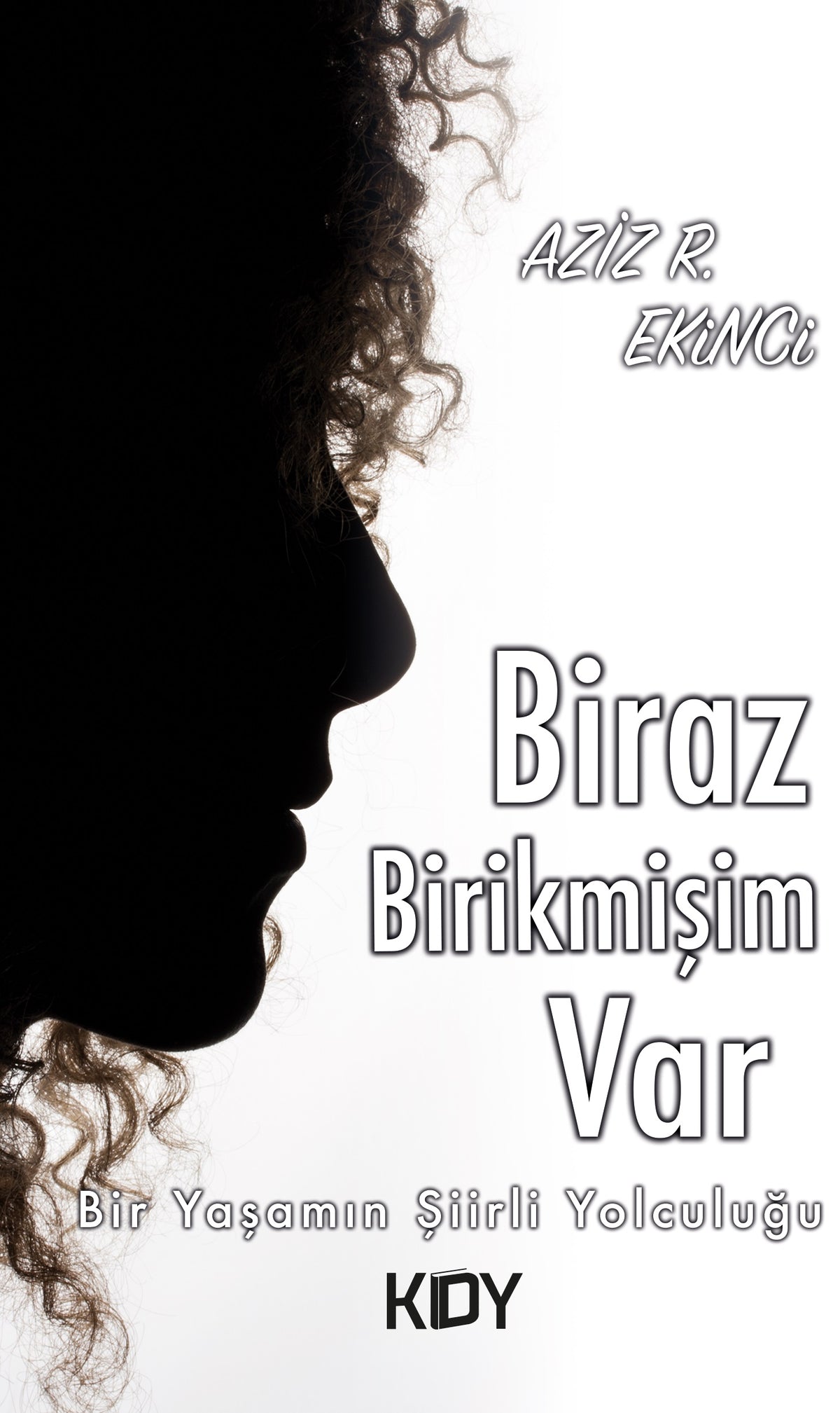 Biraz Birikmişim Var - Aziz R. Ekinci kitap kapağı