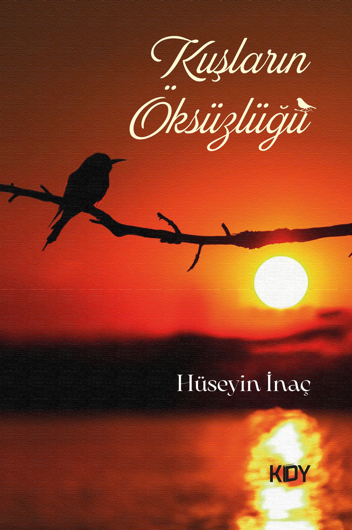 Kuşların Öksüzlüğü - Hüseyin İnaç kitap kapağı