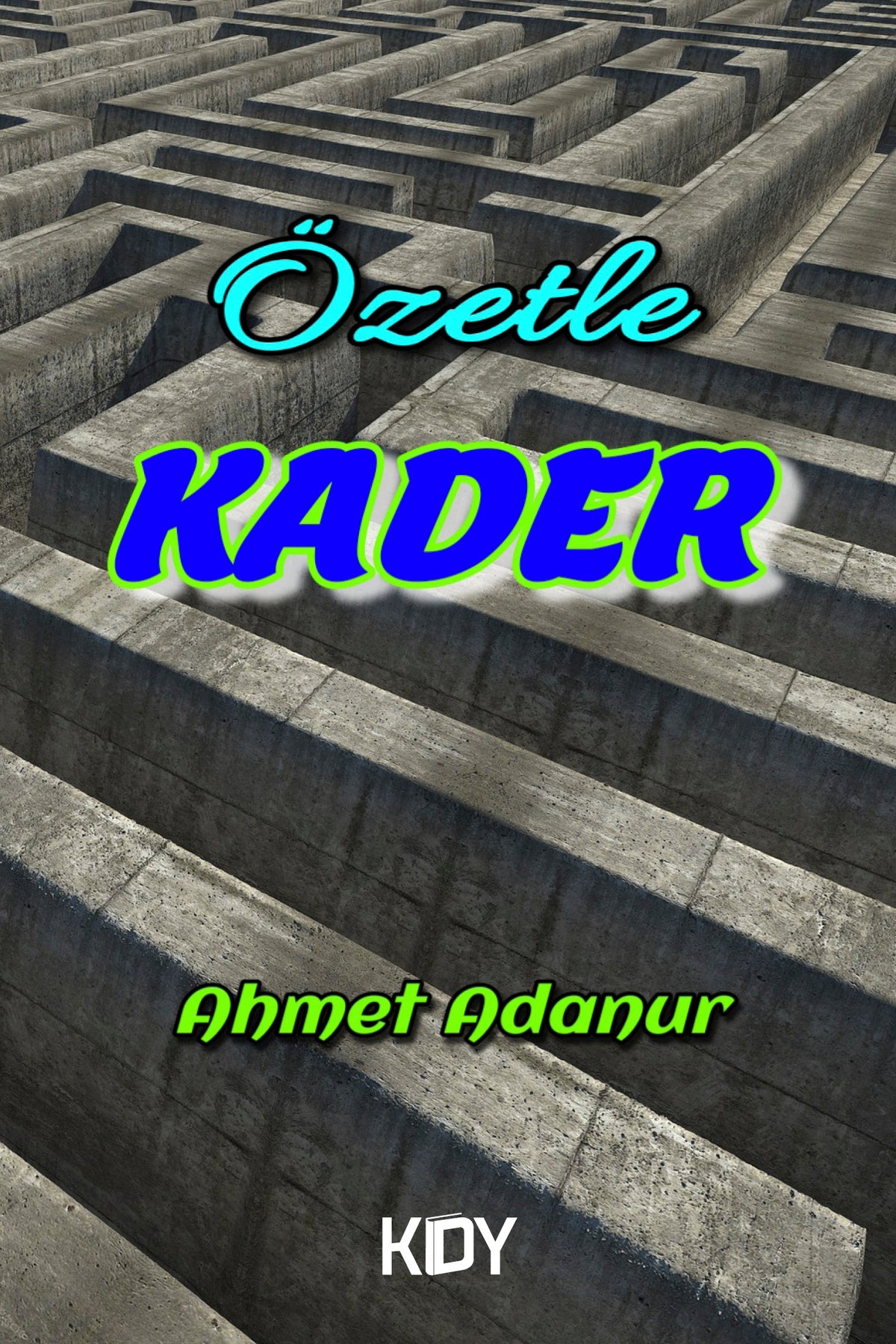 Özetle Kader - Ahmet Adanur kitap kapağı