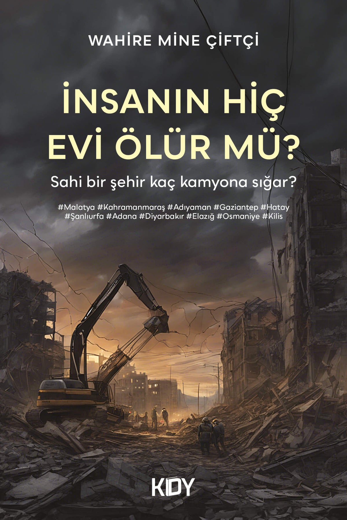 İnsanın Hiç Evi Ölür mü? - Wahire Mine Çiftçi kitap kapağı