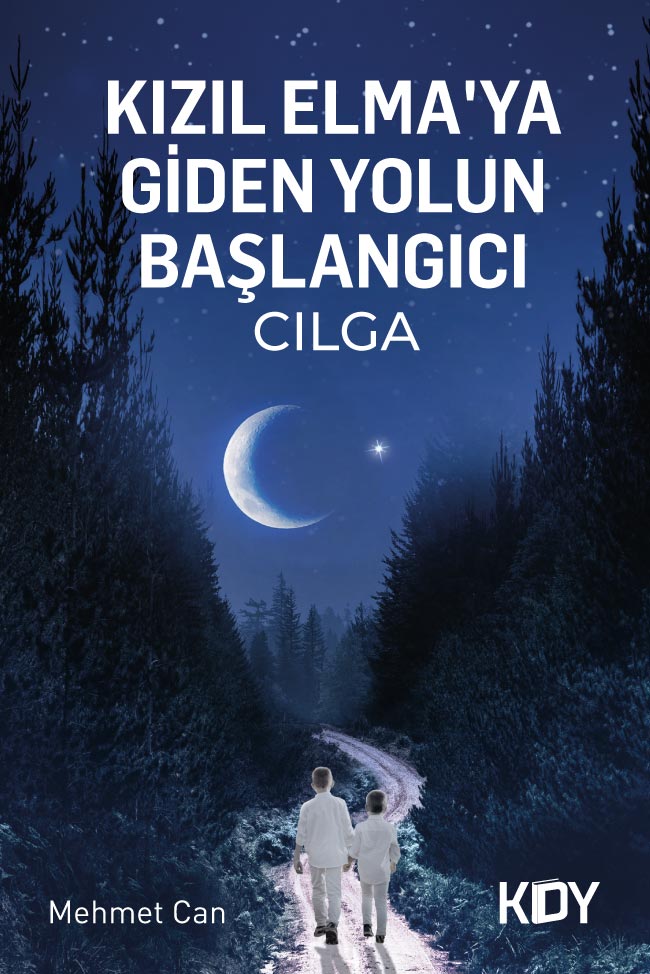 Kızıl Elmaya Giden Yol'un Başlangıcı - Mehmet Can kitap kapağı
